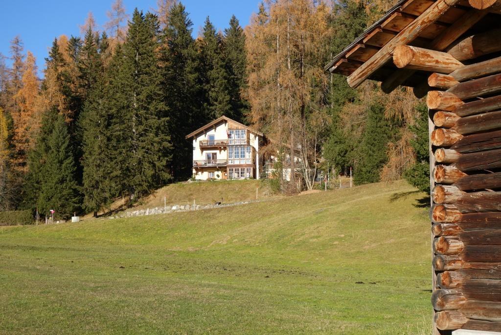 Seen from the hut